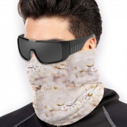 Balaclavas Spring Non Slip Seamless Dust Men & Women Face Mask For Outdoor Sports Neck Gaiter Cover Scarf Bandana Balaclava -...