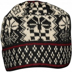 Skullies & Beanies Women's 100% Alpaca Wool Hat Knit Unisex Beanie Verbier - CS11JUBHKAJ $80.00