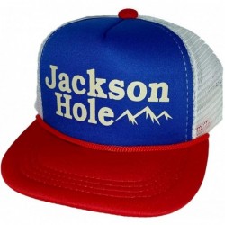 Baseball Caps Kids Jackson Hole Mesh Trucker Hat Cap Toddler Children Snapback Wyoming - CU11B6DLGVJ $27.98