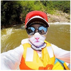 Balaclavas Cat Mask- Women Men Balaclava Summer Full Face Hat Animal Ears Sports Helmet Climbing Fishing Cap - Colorful-5 - C...