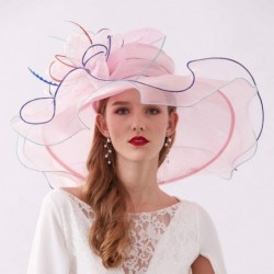 Sun Hats Women's Organza Kentucky Derby Tea Party Hat - Design 6 - Light Pink - C3193SUQTD2 $12.56