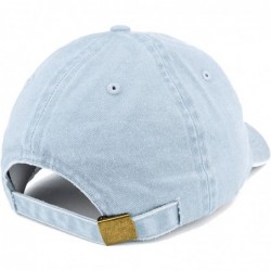 Baseball Caps Established 1980 Embroidered 40th Birthday Gift Pigment Dyed Washed Cotton Cap - Light Blue - C2180MYAX6X $38.90